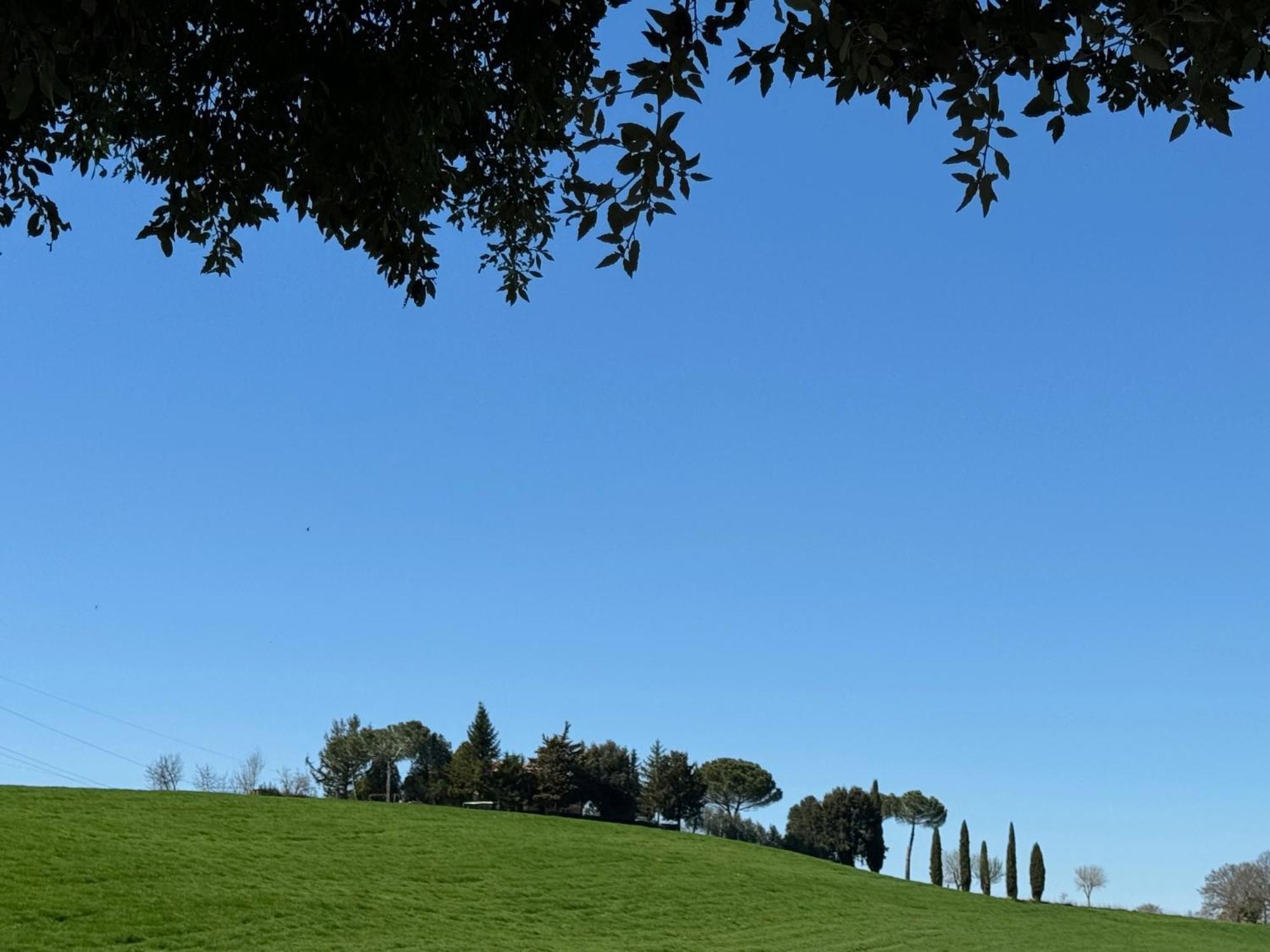 Orvieto Country House Castiglione In Teverina Bagian luar foto