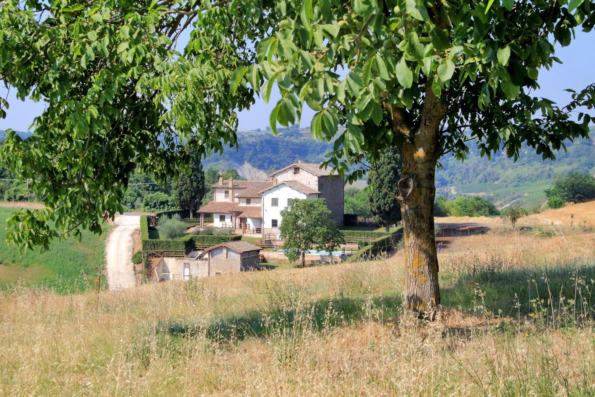 Orvieto Country House Castiglione In Teverina Bagian luar foto
