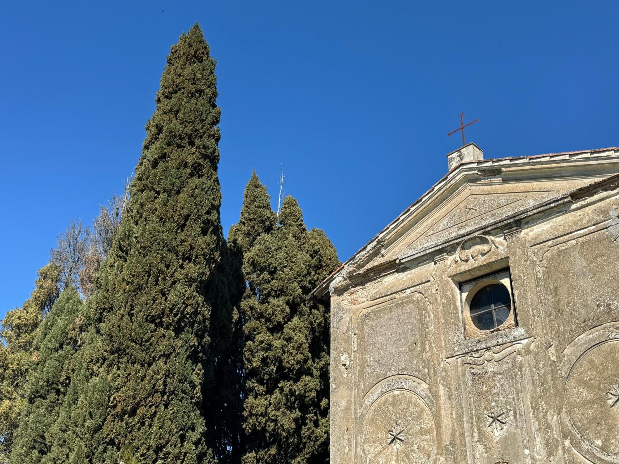 Orvieto Country House Castiglione In Teverina Bagian luar foto