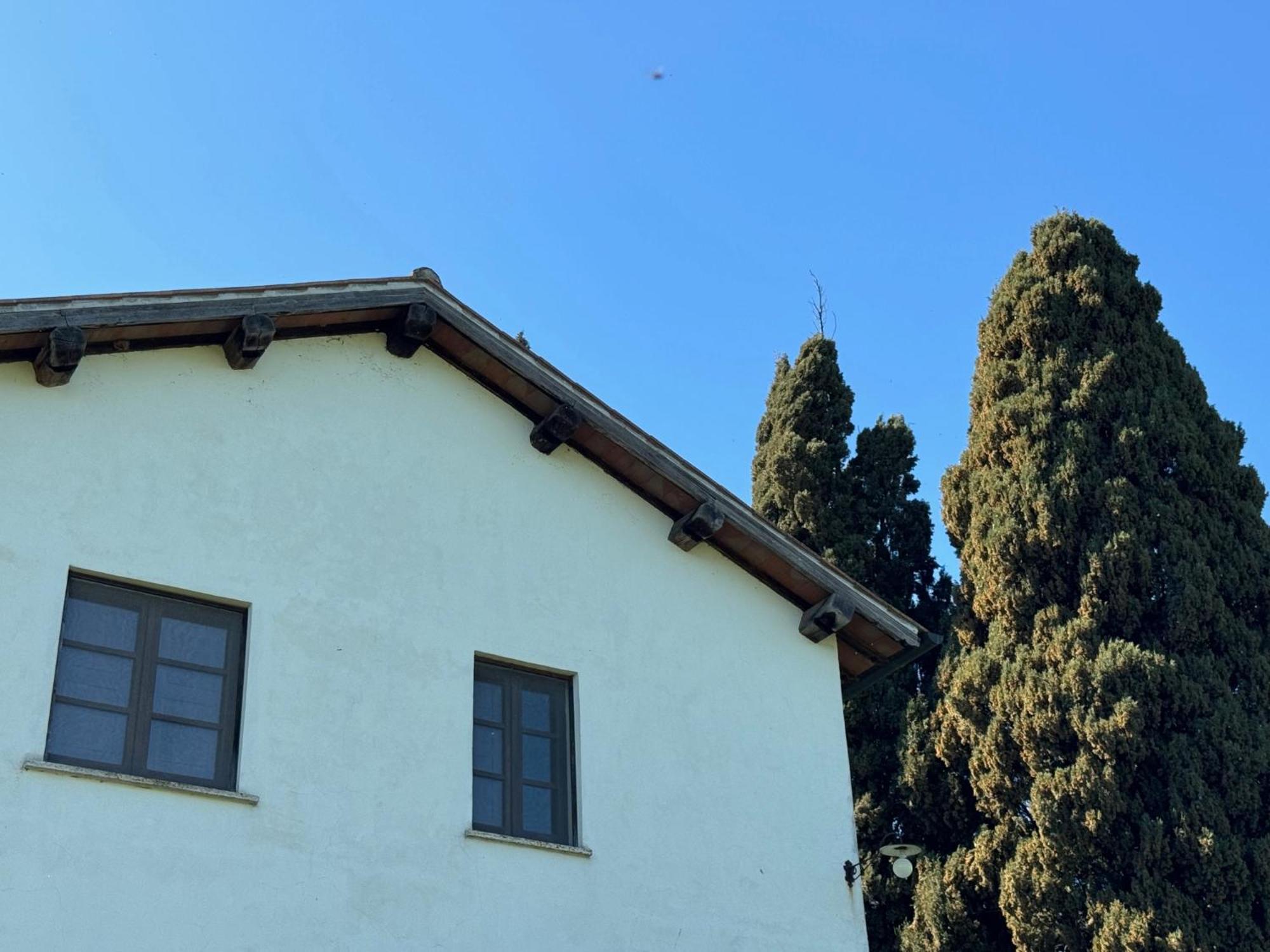 Orvieto Country House Castiglione In Teverina Bagian luar foto