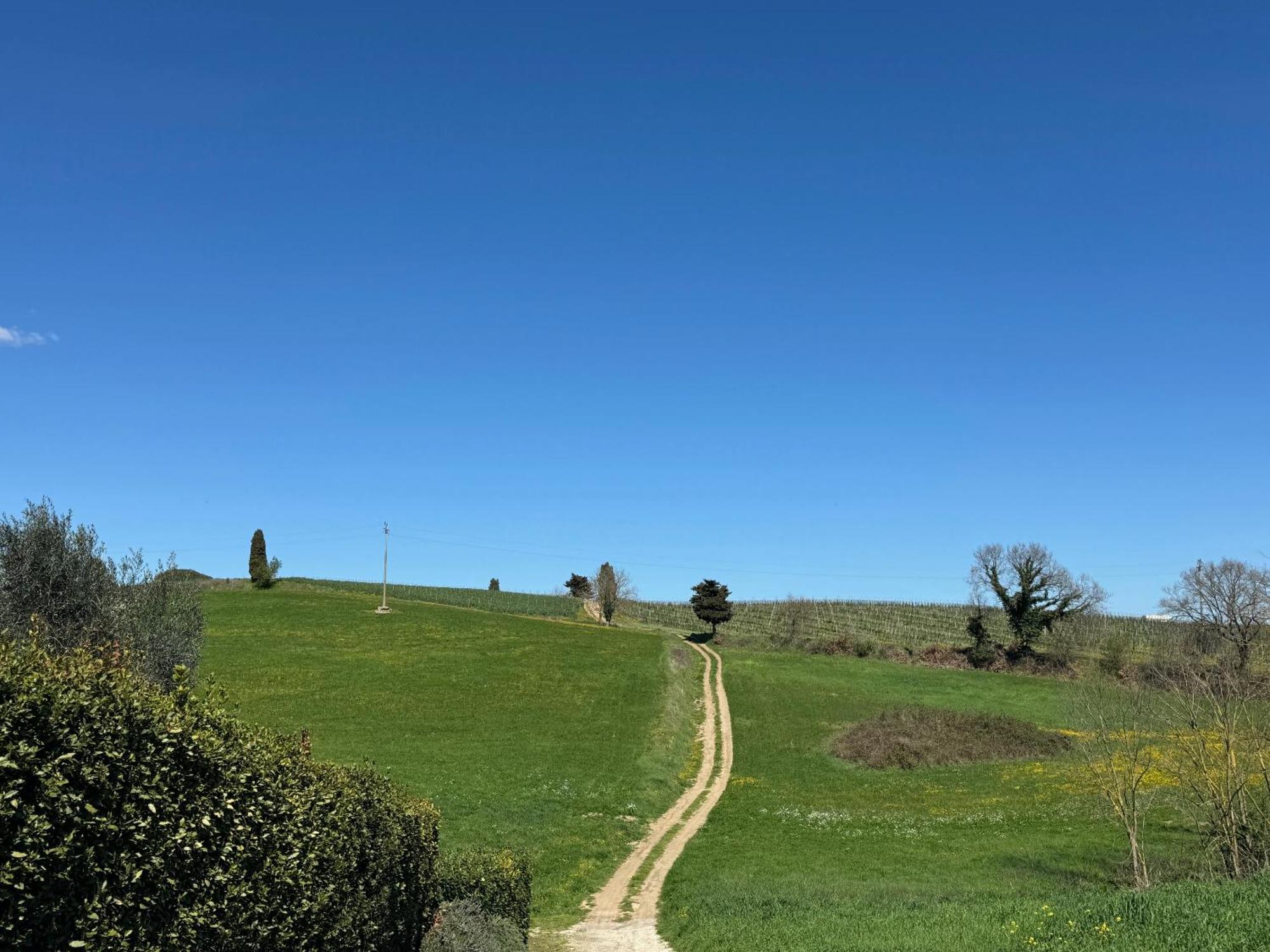 Orvieto Country House Castiglione In Teverina Bagian luar foto