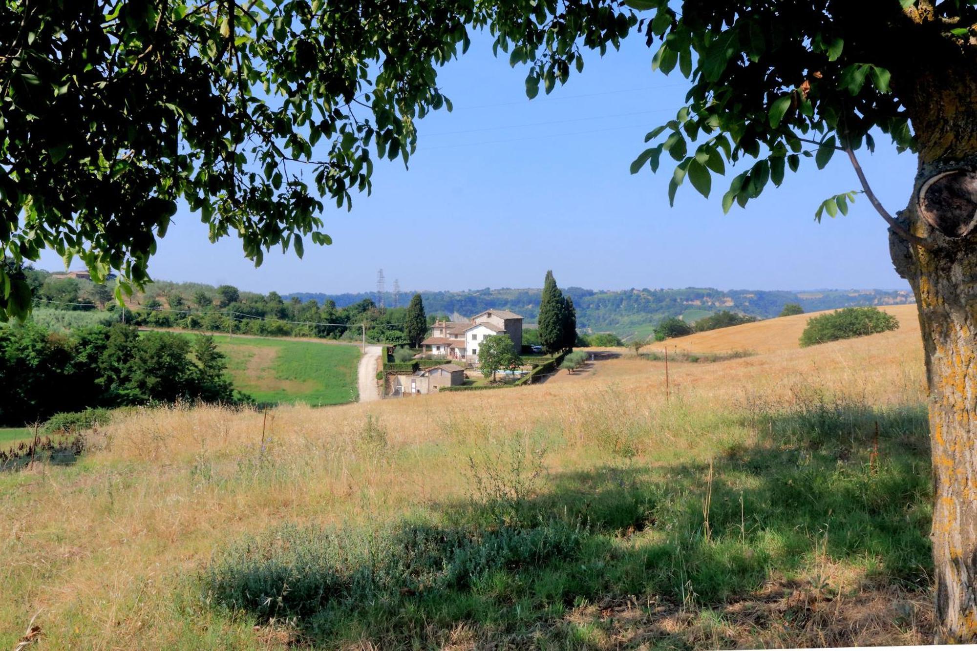Orvieto Country House Castiglione In Teverina Bagian luar foto