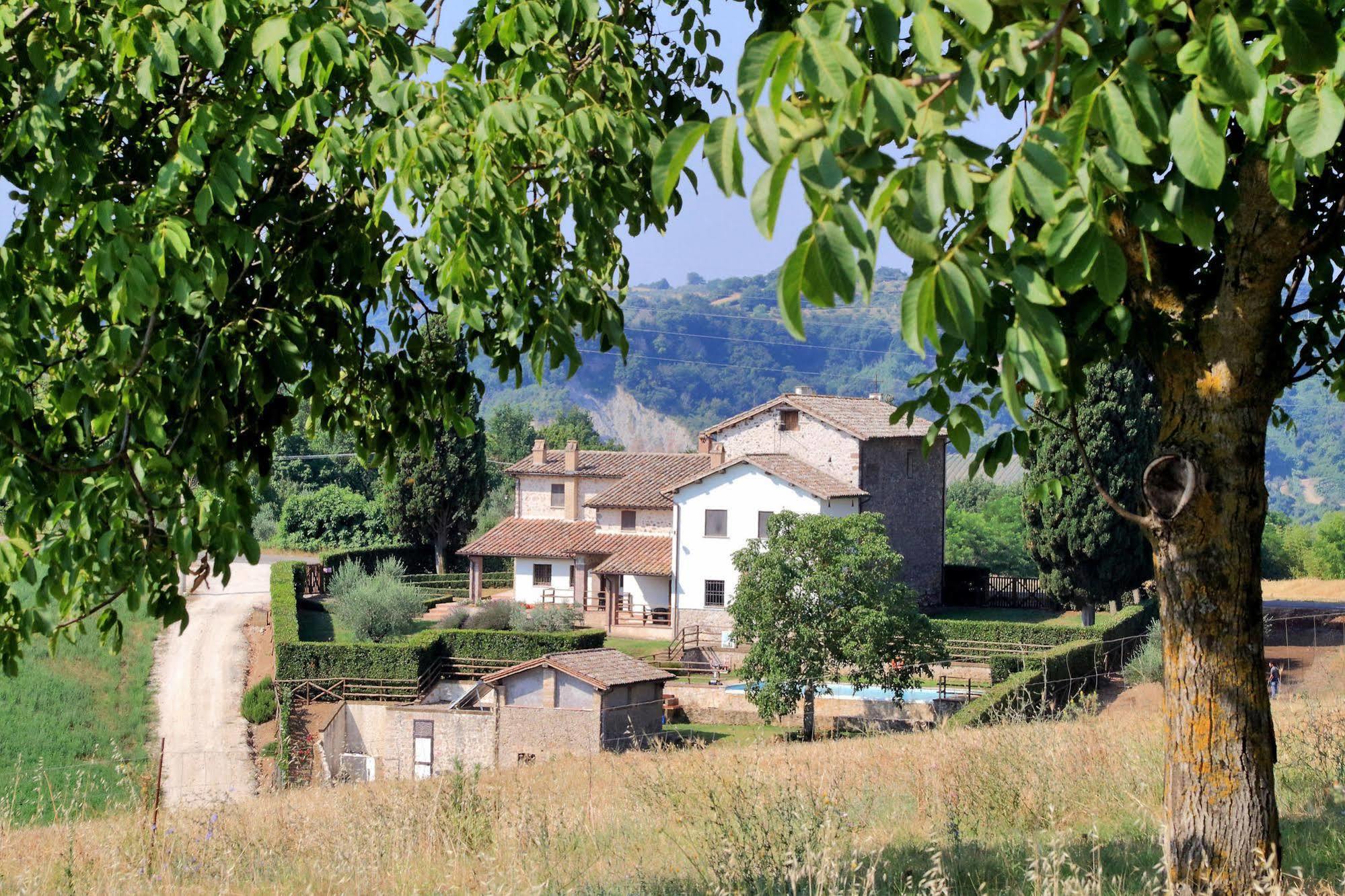 Orvieto Country House Castiglione In Teverina Bagian luar foto
