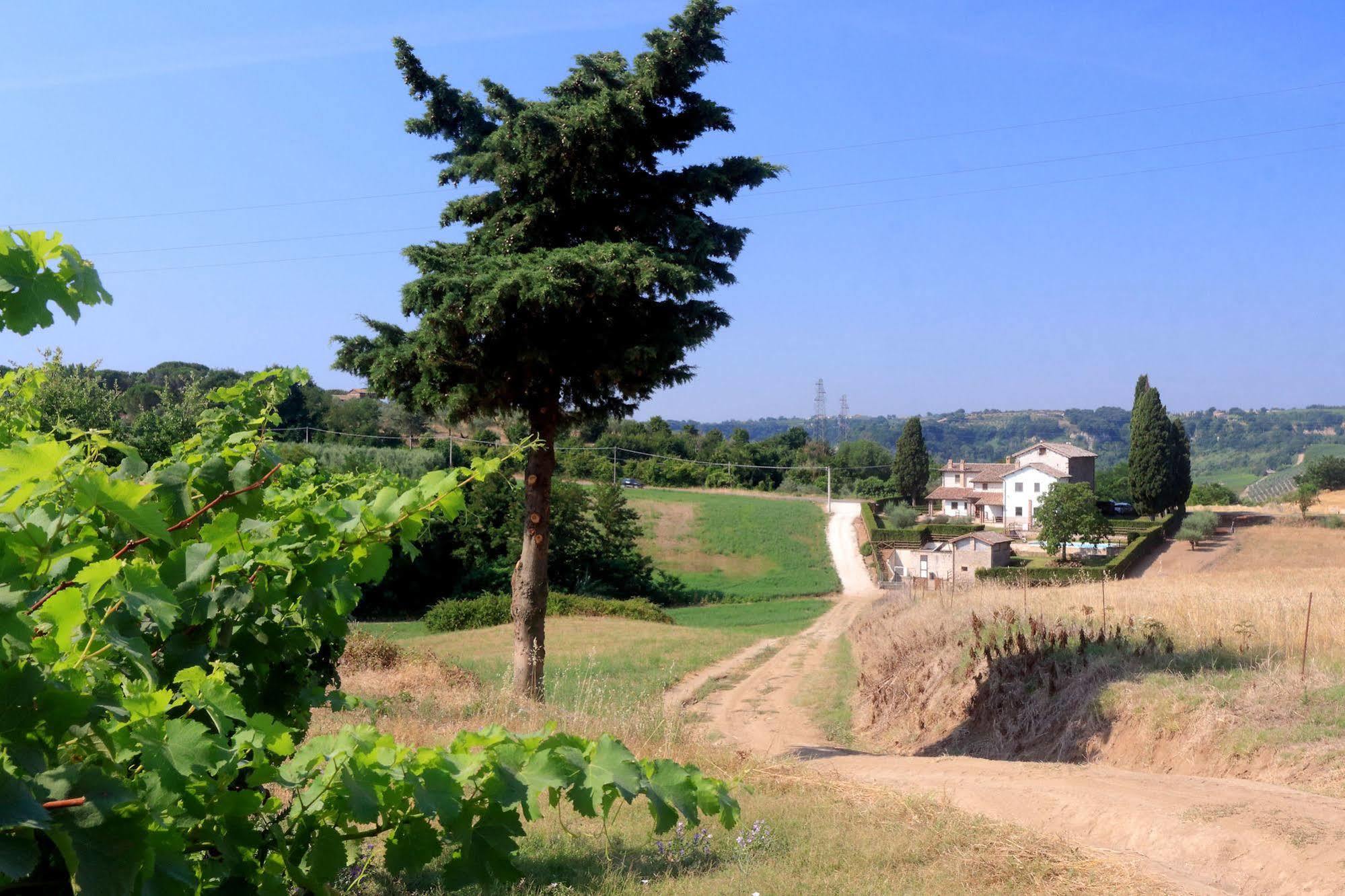 Orvieto Country House Castiglione In Teverina Bagian luar foto